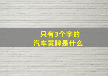 只有3个字的汽车黄牌是什么