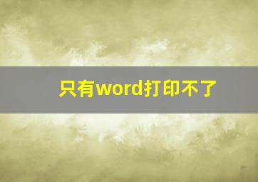 只有word打印不了