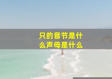 只的音节是什么声母是什么