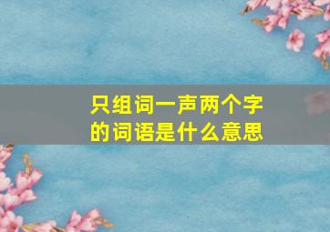 只组词一声两个字的词语是什么意思