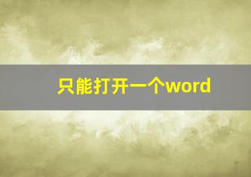 只能打开一个word