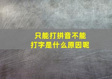 只能打拼音不能打字是什么原因呢