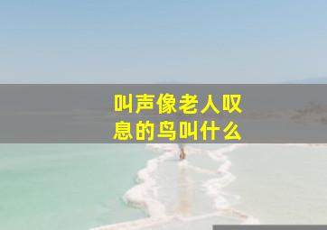 叫声像老人叹息的鸟叫什么