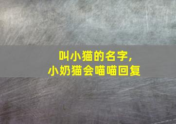 叫小猫的名字,小奶猫会喵喵回复