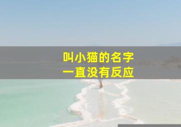 叫小猫的名字一直没有反应