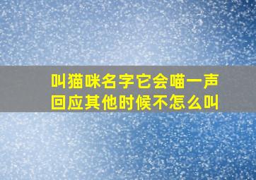 叫猫咪名字它会喵一声回应其他时候不怎么叫