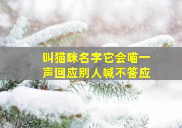 叫猫咪名字它会喵一声回应别人喊不答应