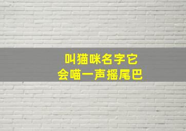 叫猫咪名字它会喵一声摇尾巴