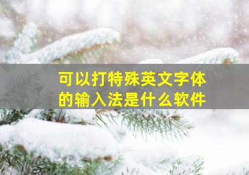 可以打特殊英文字体的输入法是什么软件