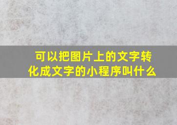 可以把图片上的文字转化成文字的小程序叫什么