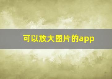 可以放大图片的app