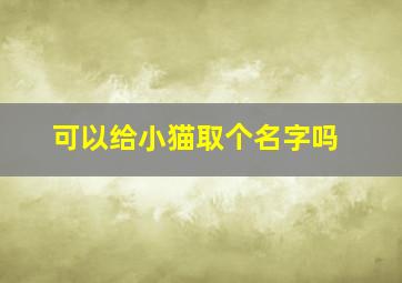 可以给小猫取个名字吗