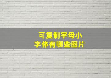 可复制字母小字体有哪些图片