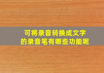 可将录音转换成文字的录音笔有哪些功能呢