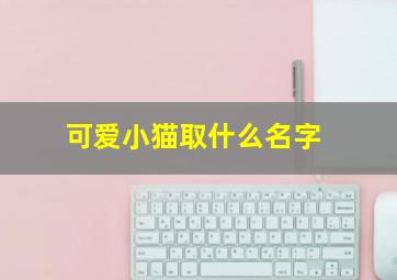 可爱小猫取什么名字