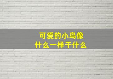 可爱的小鸟像什么一样干什么