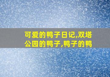 可爱的鸭子日记,双塔公园的鸭子,鸭子的鸭