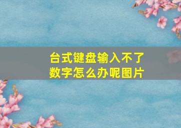 台式键盘输入不了数字怎么办呢图片