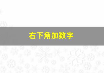 右下角加数字