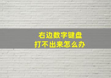 右边数字键盘打不出来怎么办