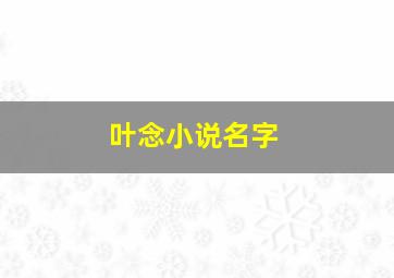 叶念小说名字