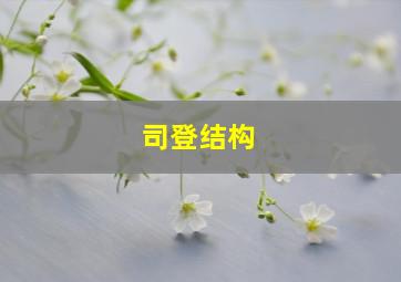 司登结构