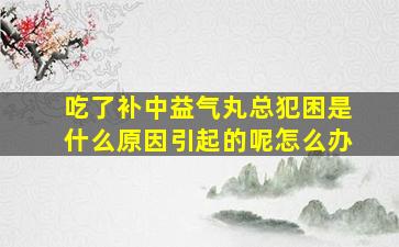 吃了补中益气丸总犯困是什么原因引起的呢怎么办