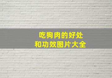 吃狗肉的好处和功效图片大全