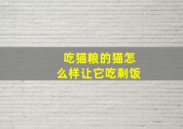 吃猫粮的猫怎么样让它吃剩饭