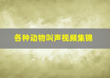 各种动物叫声视频集锦