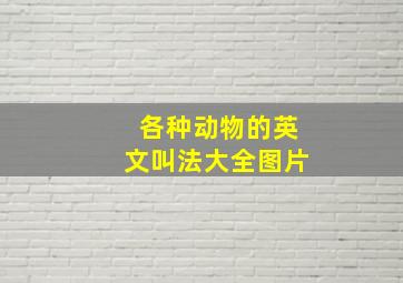 各种动物的英文叫法大全图片