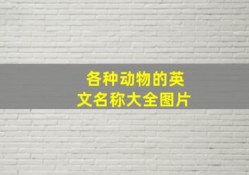 各种动物的英文名称大全图片