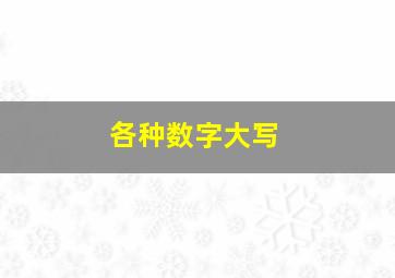 各种数字大写