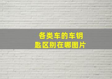 各类车的车钥匙区别在哪图片