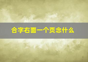 合字右面一个页念什么