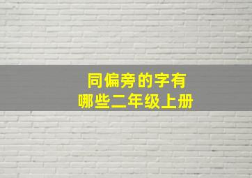 同偏旁的字有哪些二年级上册