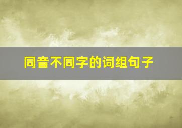 同音不同字的词组句子