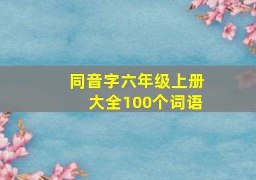 同音字六年级上册大全100个词语