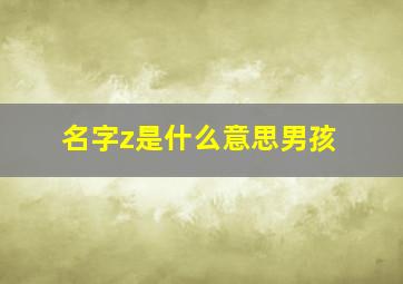 名字z是什么意思男孩