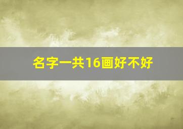 名字一共16画好不好