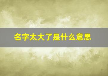 名字太大了是什么意思