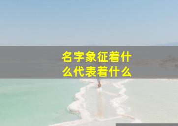 名字象征着什么代表着什么