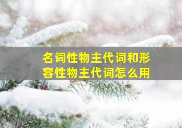 名词性物主代词和形容性物主代词怎么用