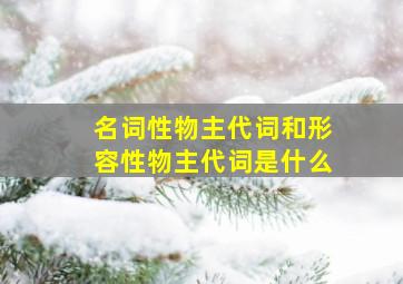 名词性物主代词和形容性物主代词是什么