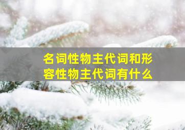 名词性物主代词和形容性物主代词有什么