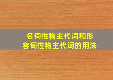 名词性物主代词和形容词性物主代词的用法