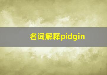 名词解释pidgin