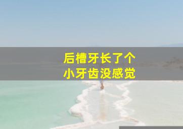 后槽牙长了个小牙齿没感觉