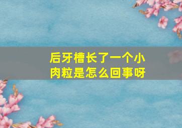 后牙槽长了一个小肉粒是怎么回事呀