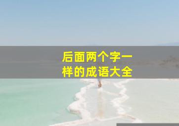 后面两个字一样的成语大全